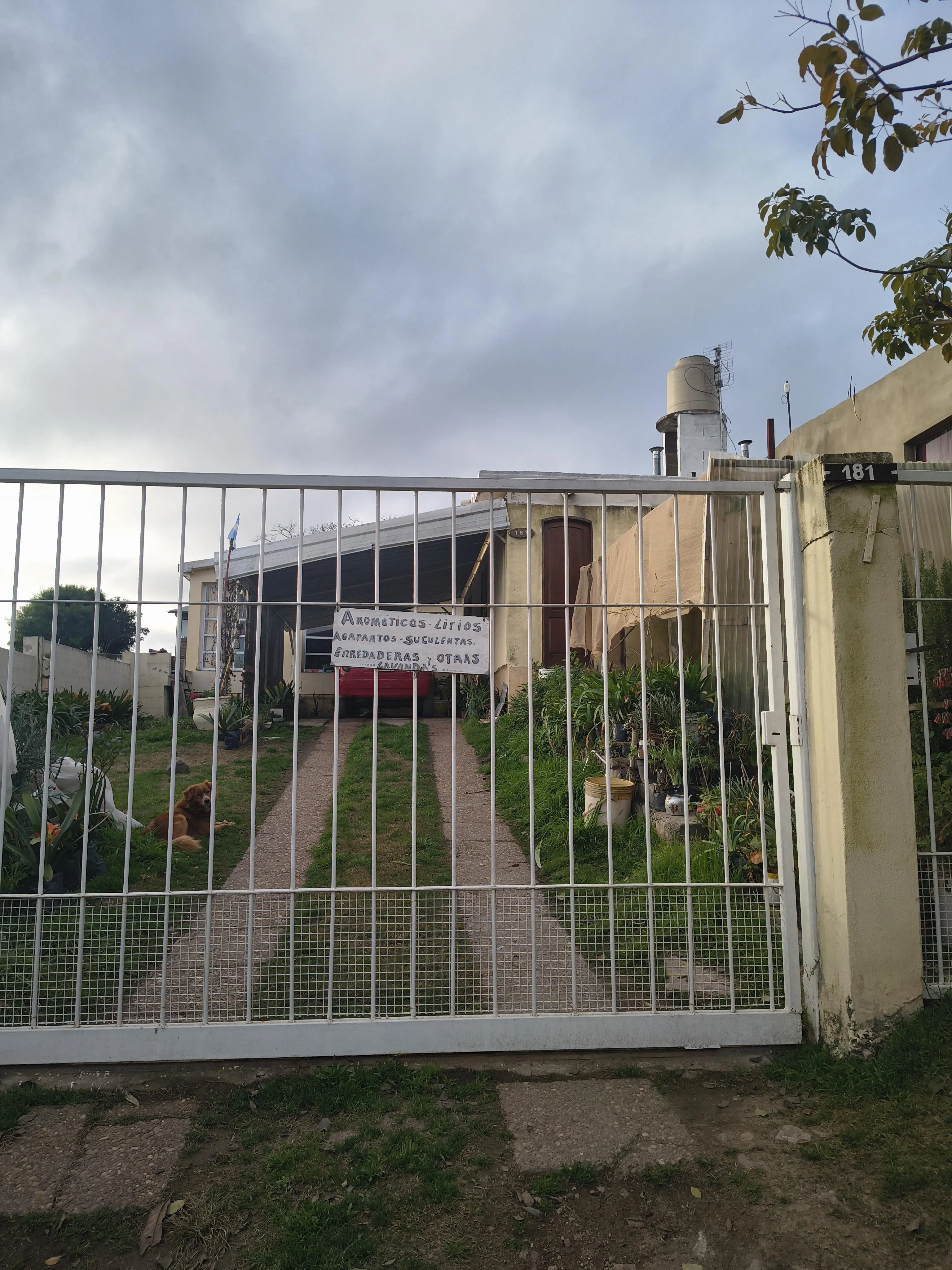 Vendo casa de dos dormitorios más departamento   en Salsipuedes