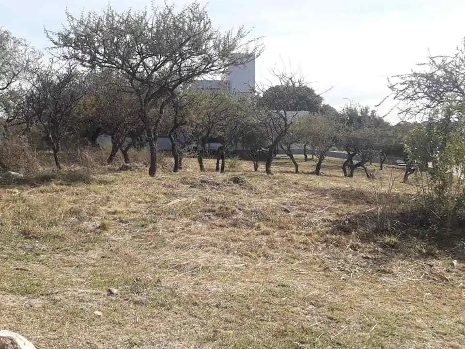 Lotes en venta de 1066m2 en TierrAlta Comarca. Excelente ubicación