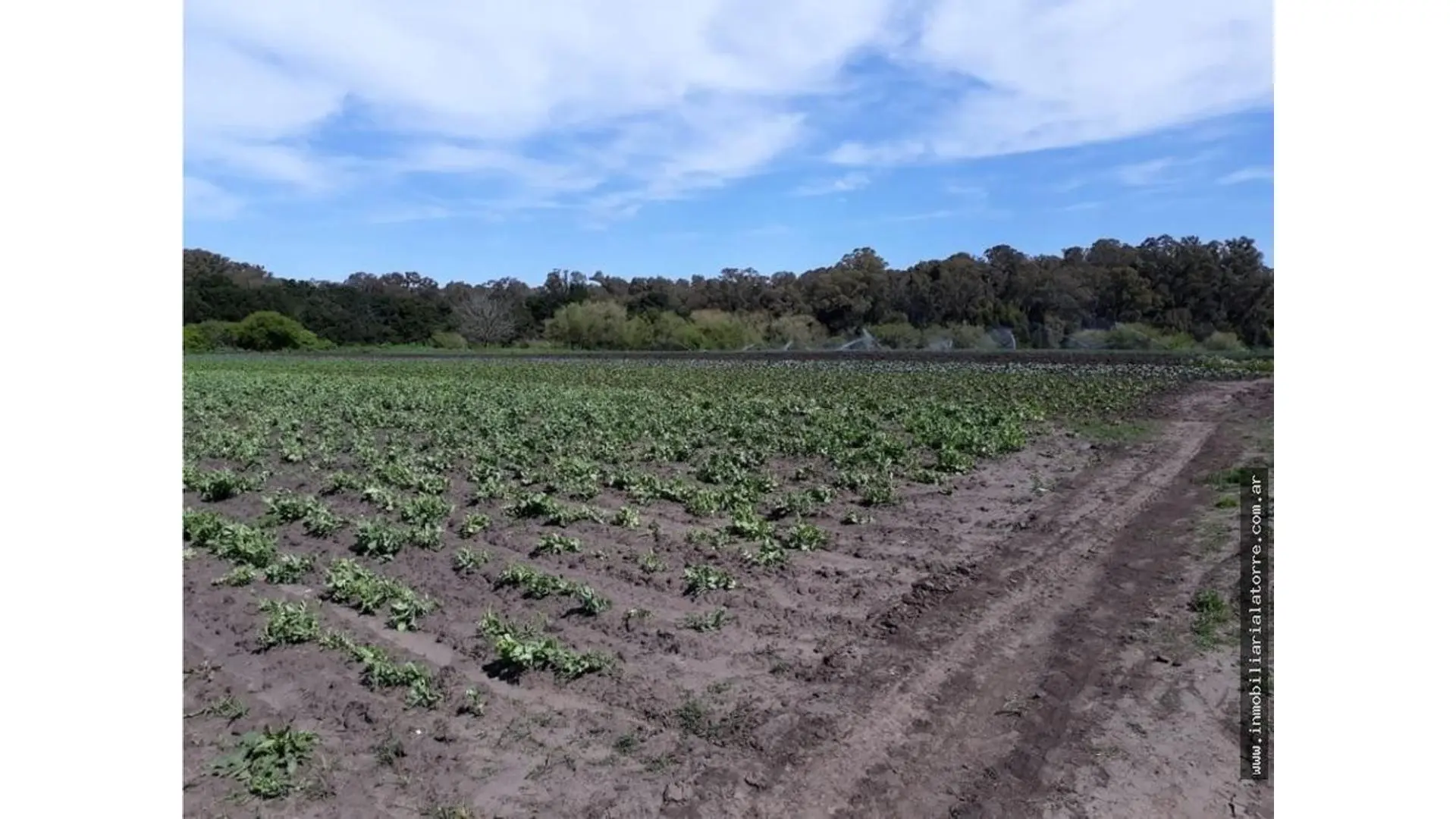 VENTA DE CAMPO 10 HECTÁREAS SOBRE RUTA 226
