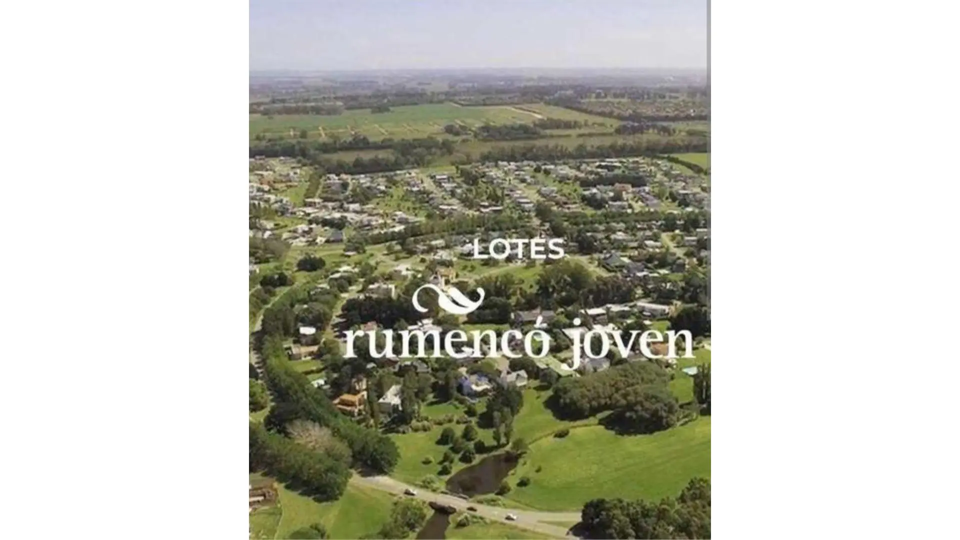 LOTE RUMENCO JOVEN ¡¡¡OFERTA!!!