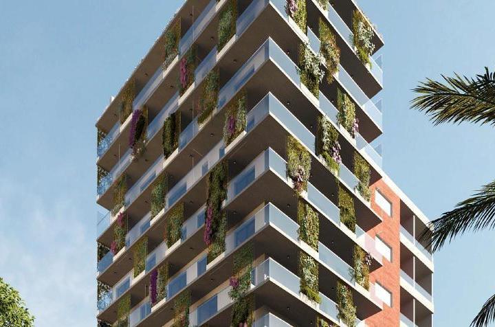 Desarrollo vertical