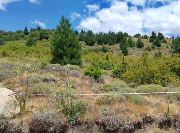 Terreno · 800m²