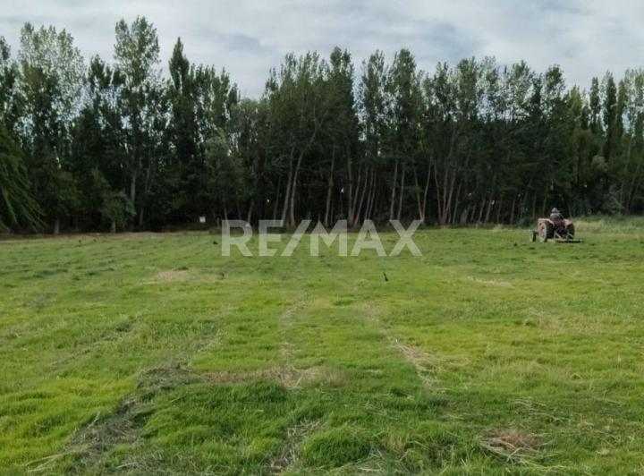 Terreno · 16407m²