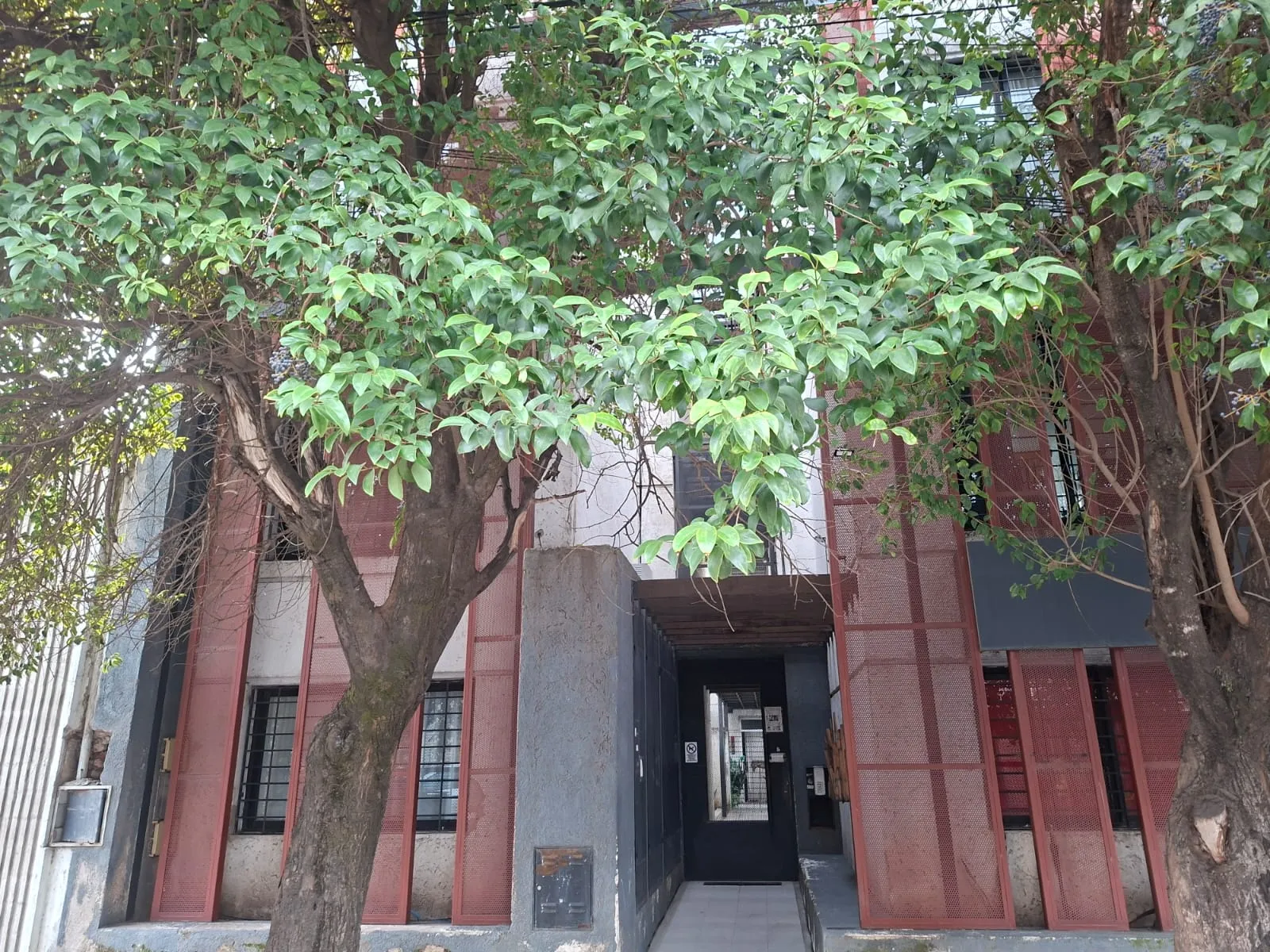 Departamento de 1 dormitorio en alquiler en Alto Alberdi