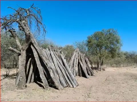Campo en Venta en Recreo, La Paz