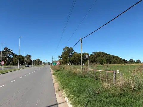 Campo en Venta en General Pico, Maracó