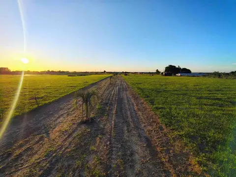 Terreno en Venta en Goya, Corrientes
