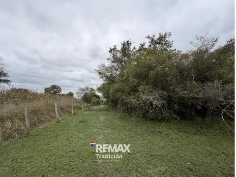 Campo en Venta en Margarita Belén, 1 de Mayo