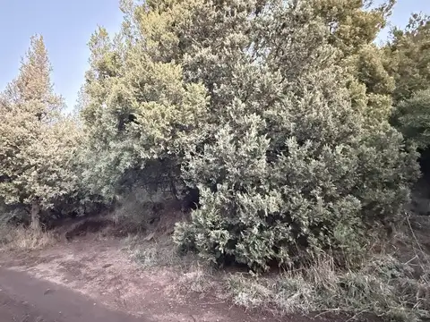 Terreno en Venta en San Carlos de Bariloche, Bariloche