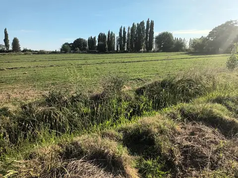 Campo en Venta en Peñas Blancas, General Roca