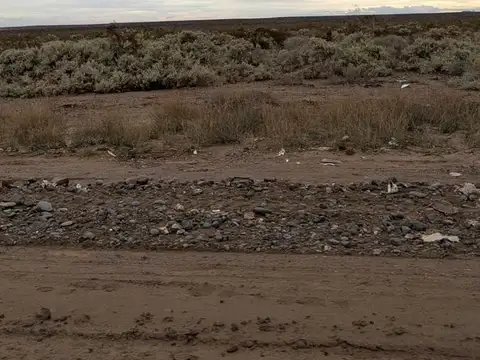 Terreno en Venta en Centenario, Confluencia