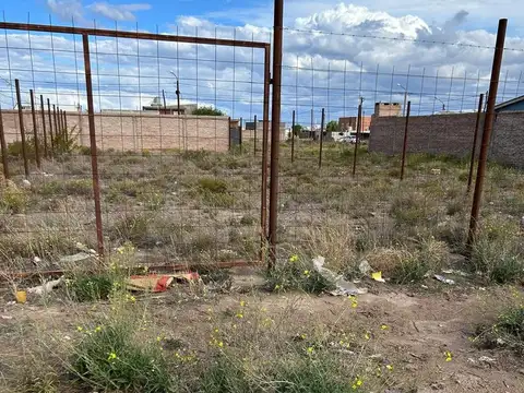 Terreno en Venta en Centenario, Confluencia
