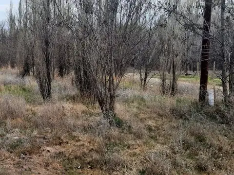 Terreno en Venta en Plottier, Confluencia