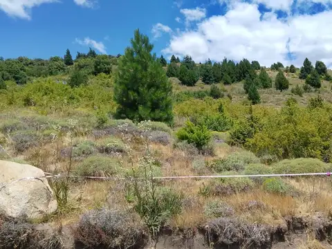 Terreno en Venta en San Martin de los Andes, Lácar