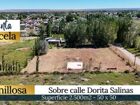 Terreno en Venta en Senillosa, Confluencia