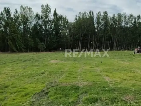 Terreno en Venta en Centenario, Confluencia
