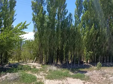 Campo en Venta en Picun Leufu, Picún Leufú