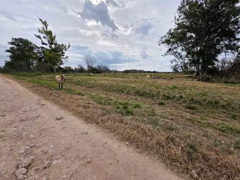 Terreno en Venta en Concepción del Uruguay, Uruguay