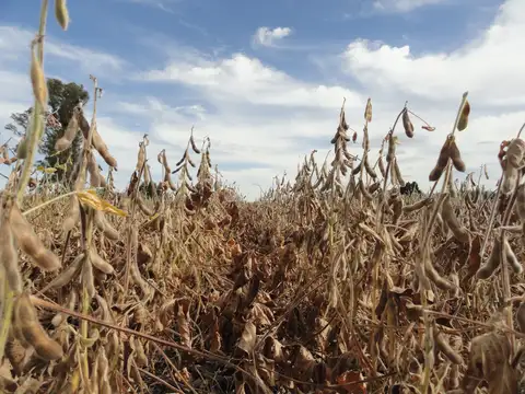 Campo en Venta en Gualeguaychu, Gualeguaychú