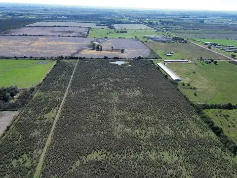 Campo en Venta en Concepción del Uruguay, Uruguay