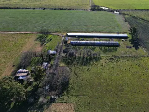 Campo en Venta en Concepción del Uruguay, Uruguay