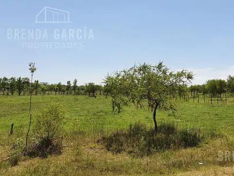 Terreno en Venta en Colon, Colón