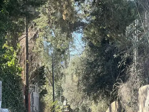 Casa en Venta en La Libertad, Rivadavia