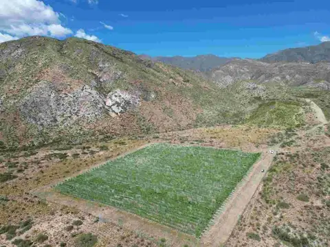 Campo en Venta en Mendoza, Capital
