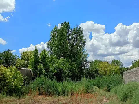 Terreno en Venta en Tunuyan, Tunuyán