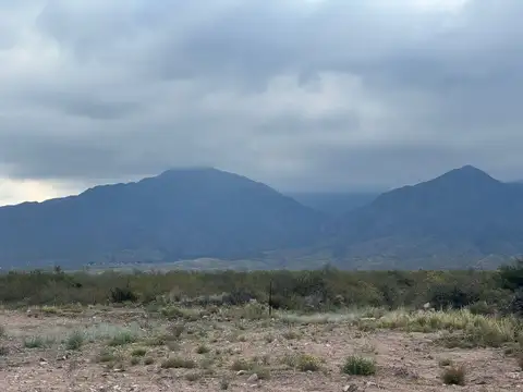 Terreno en Venta en Lujan de Cuyo, Luján de Cuyo