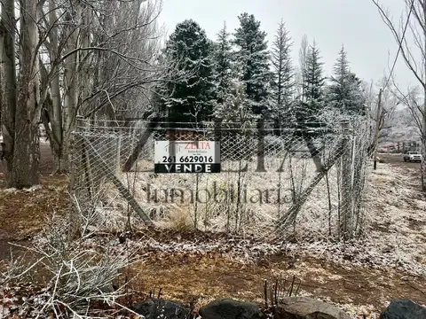 Terreno en Venta en El Salto, Luján de Cuyo