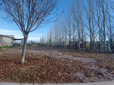 Terreno en Venta en Carrodilla la Puntilla, Luján de Cuyo