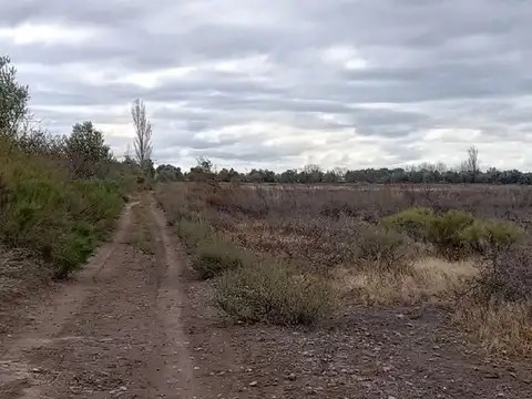 Terreno en Venta en Palmira, San Martín