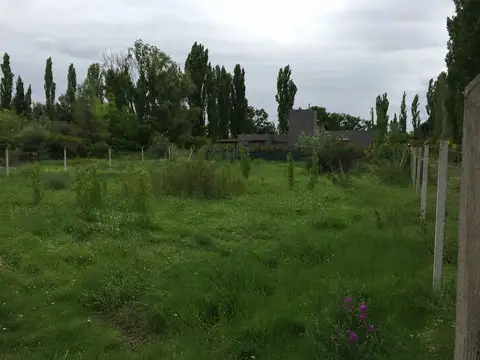Terreno en Venta en Chacras de Coria, Luján de Cuyo
