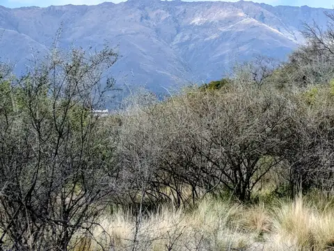 Terreno en Venta en Yacanto, San Javier
