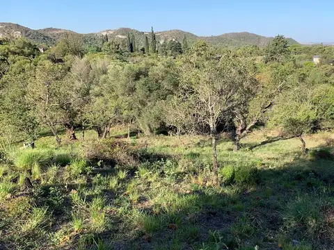 Terreno en Venta en Alta Gracia, Santa María