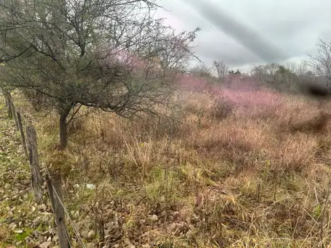 Terreno en Venta en Cordoba, Capital
