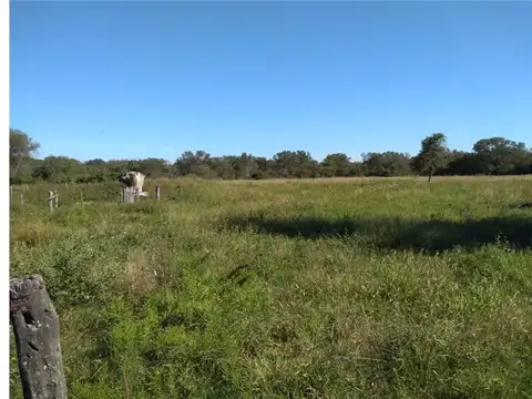 Campo en Venta en Margarita, Vera