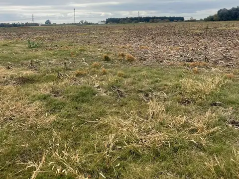 Campo en Venta en Perez, Rosario