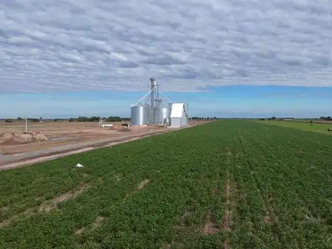 Campo en Venta en Llambi Campbell, La Capital