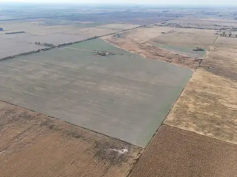 Campo en Venta en Bella Italia, Castellanos