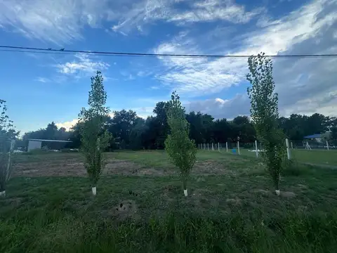 Terreno en Venta en San Jose del Rincon, La Capital