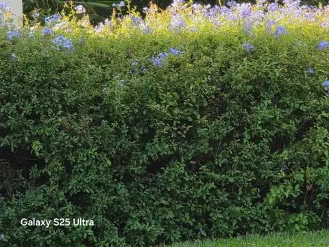 Terreno en Venta en Villa Pueyrredon, CABA