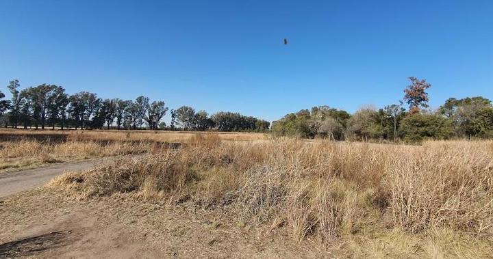 Terreno · 35000m²