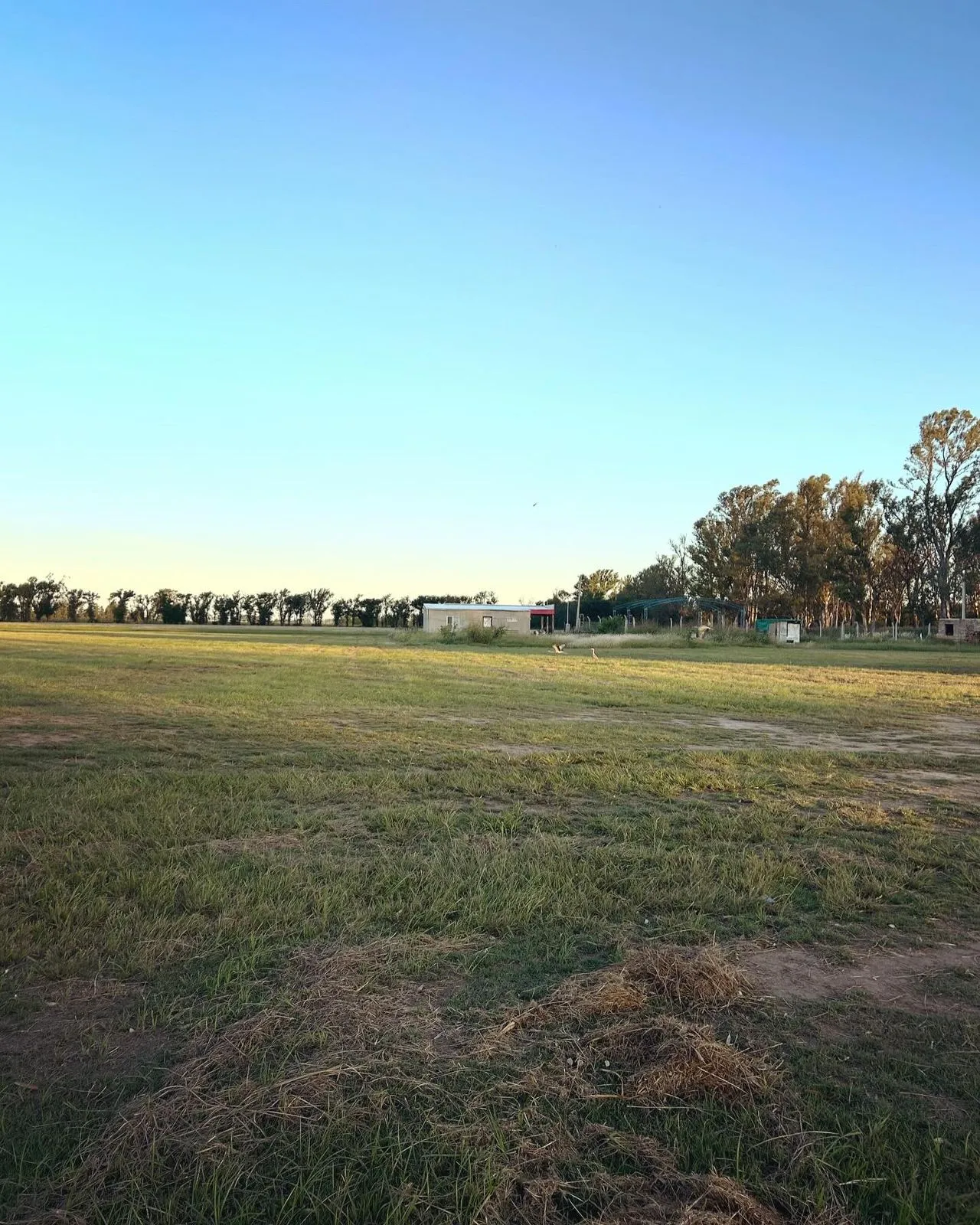 VENTA LOTE 800M2 GENERAL FOTHERINHAM