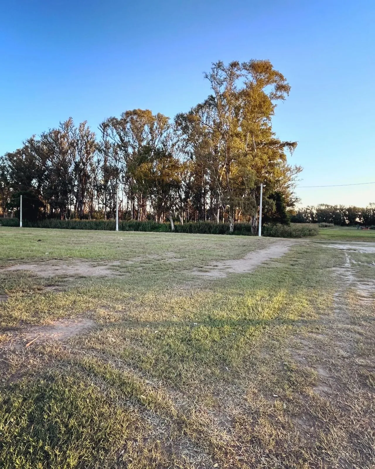VENTA LOTE 1000M2 GENERAL FOTHERINHAM