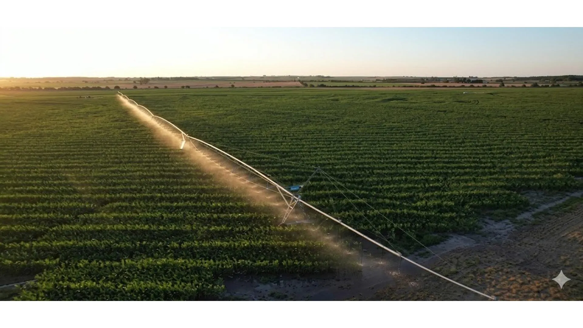 Campo a tranquera cerrada en Victoria