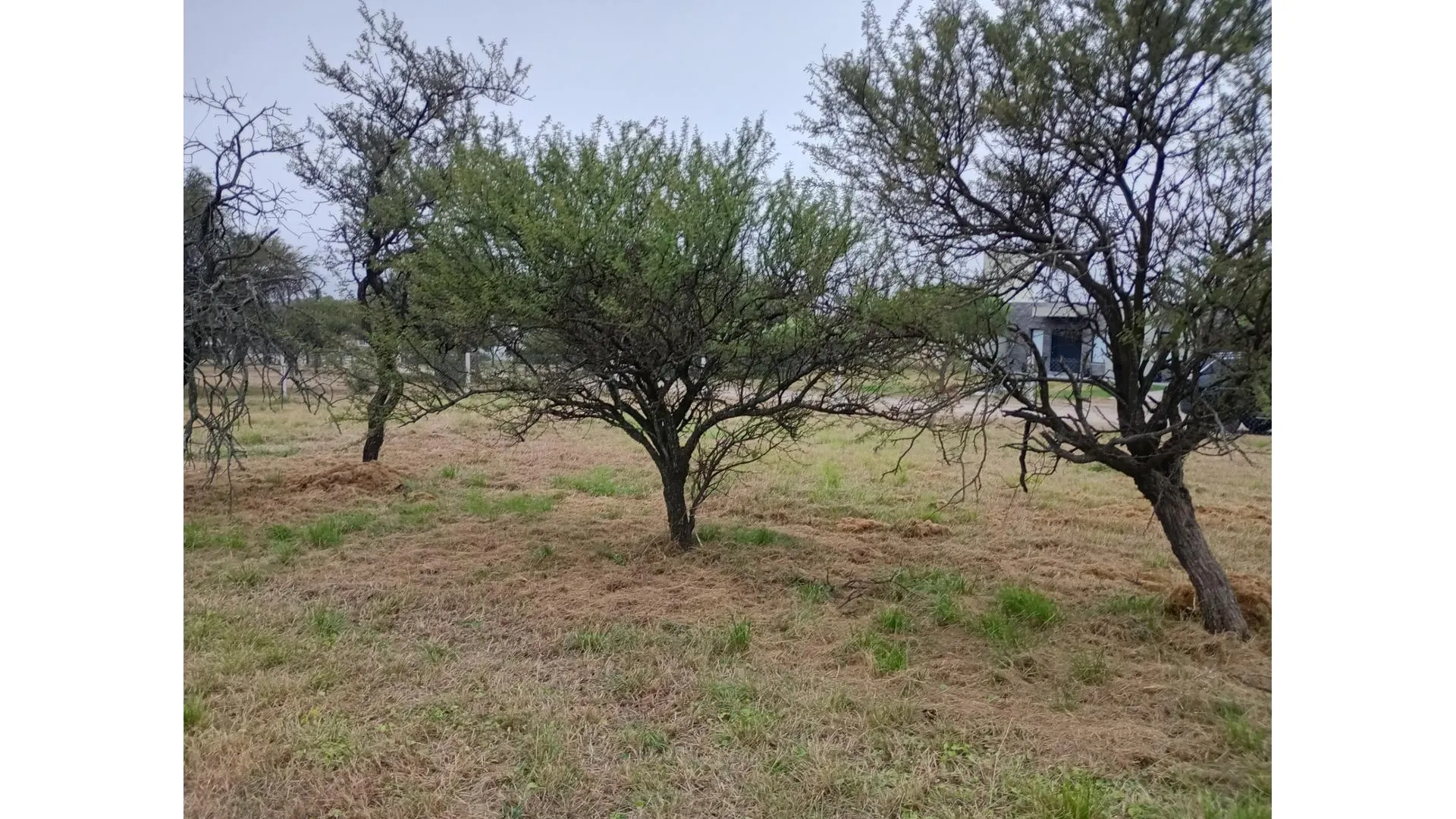 Lote en venta en La Melinca, camino a Alta Gracia (Ruta 5)