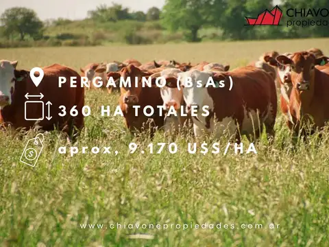Campo en Venta en Pergamino, Partido de Pergamino