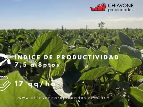 Campo en Venta en Pergamino, Partido de Pergamino